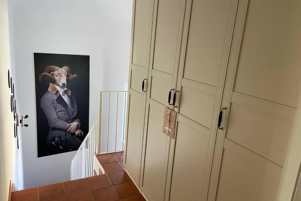 Terrassen Appartement Ueber Den Daechern Von Krems Экстерьер фото
